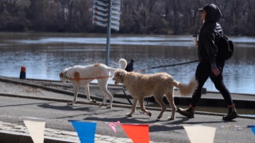 Ice Breaker 5K Photos 2026