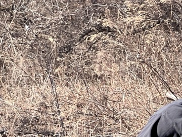 Ice Breaker 5K Photos 2026