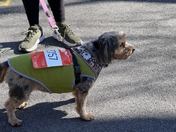 Ice Breaker 5K Photos 2026