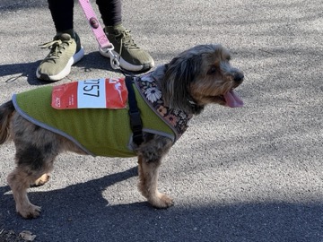 Ice Breaker 5K Photos 2026