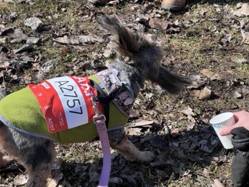 Ice Breaker 5K Photos 2026