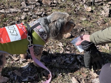 Ice Breaker 5K Photos 2026