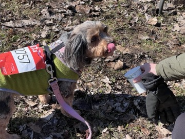 Ice Breaker 5K Photos 2026